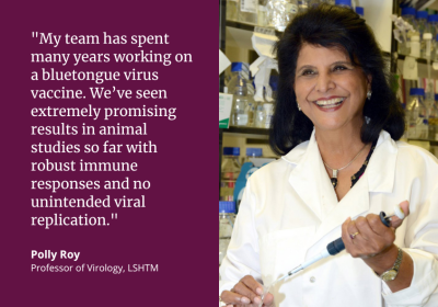 &quot;My team has spent many years working on a bluetongue virus vaccine. We&#039;ve seen extremely promising results in animal studies so far with robust immune responses and no unintended viral replication.&quot; Polly Roy, Professor of Virology, LSHTM