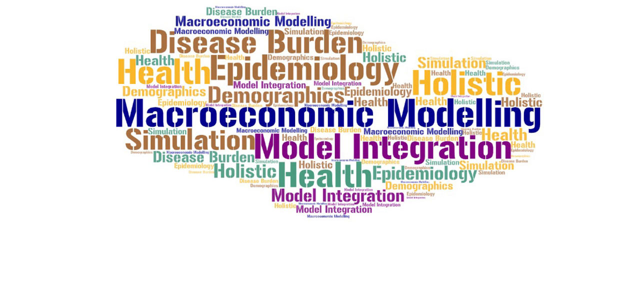 Macro-economic modelling of health and health policy