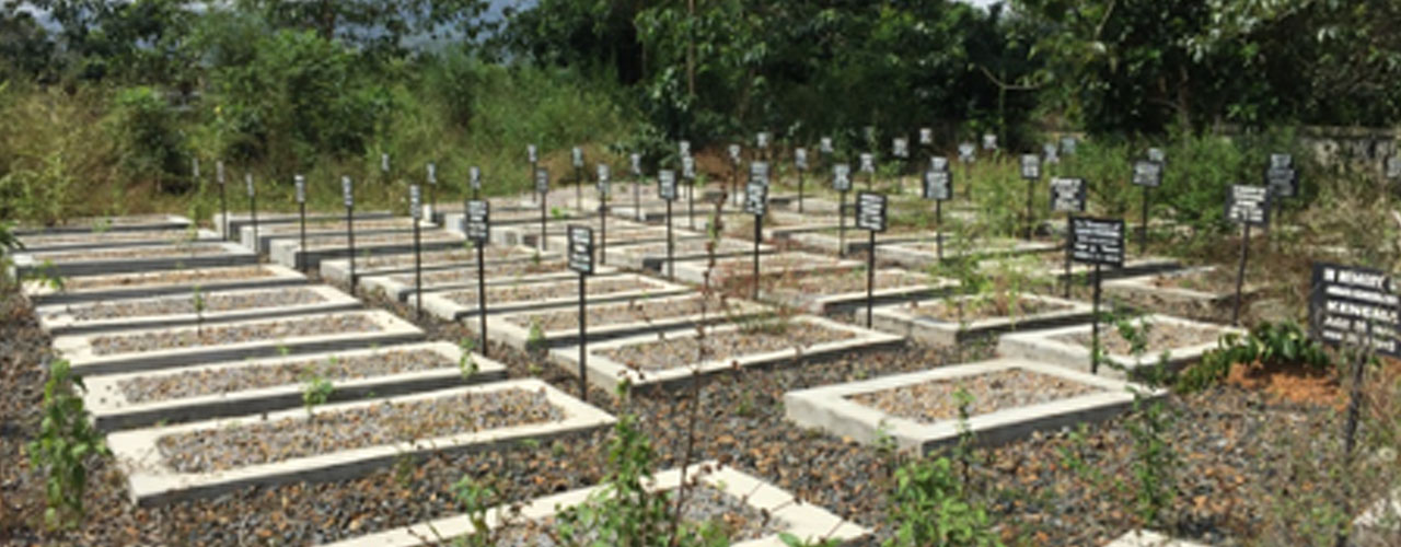 Ebola Treatment Centre Graveyard, Kenema, Sierra Leone (Credit: Paul Richards)