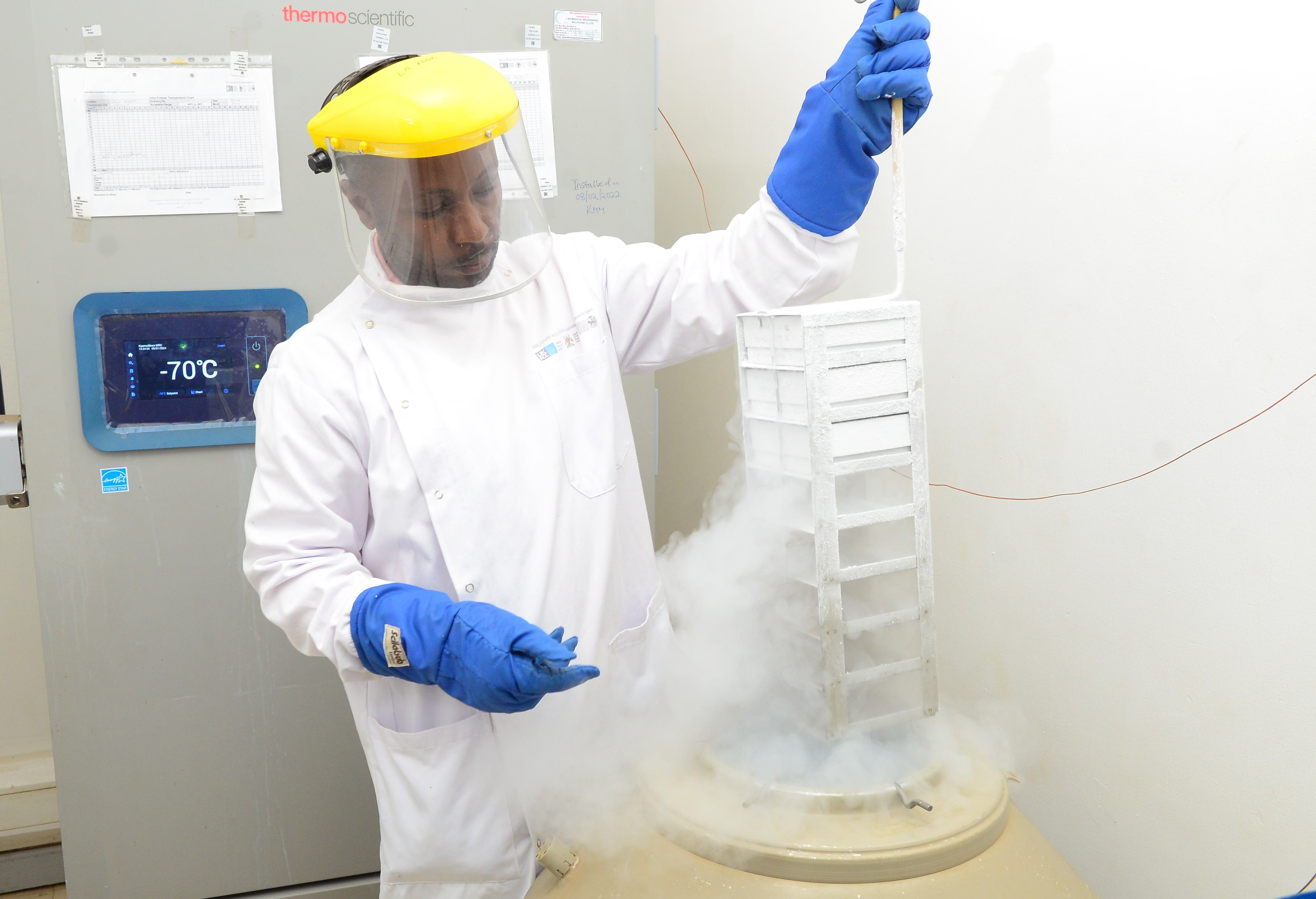 Lab technician examining stored samples