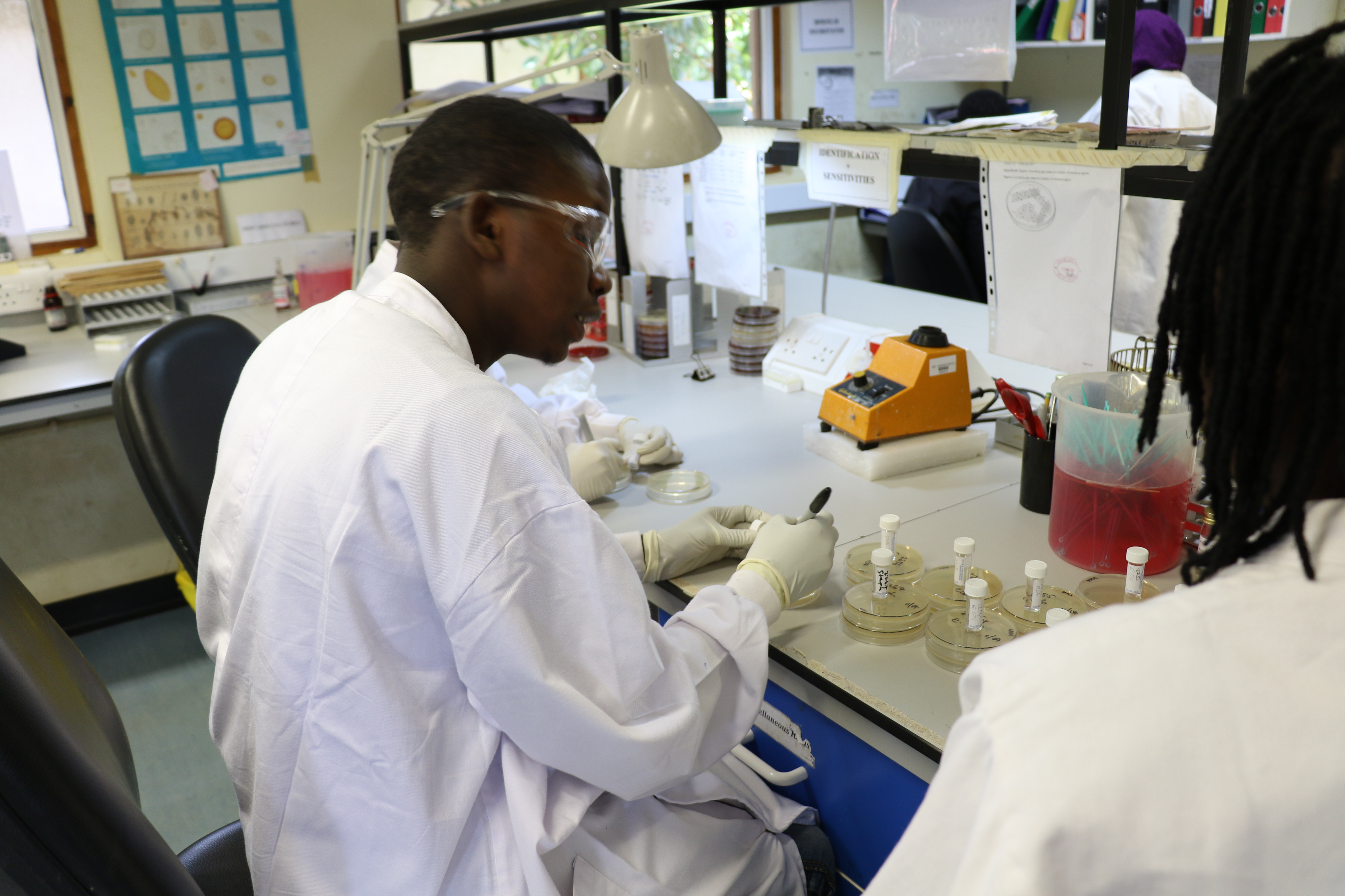Lab scientist at MRC Unit The Gambia at LSHTM in Fajara