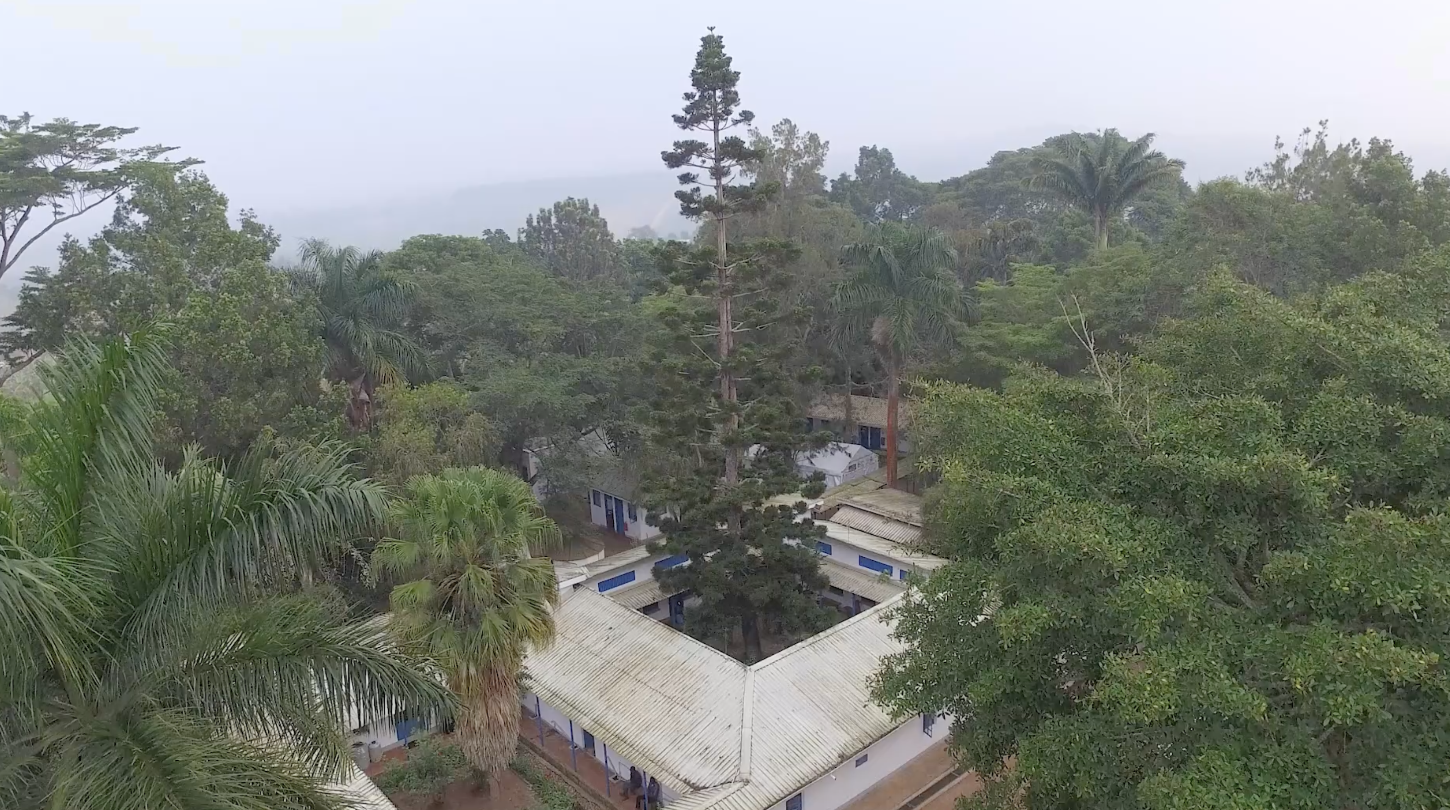 Aerial view of Kyamulibwa research station