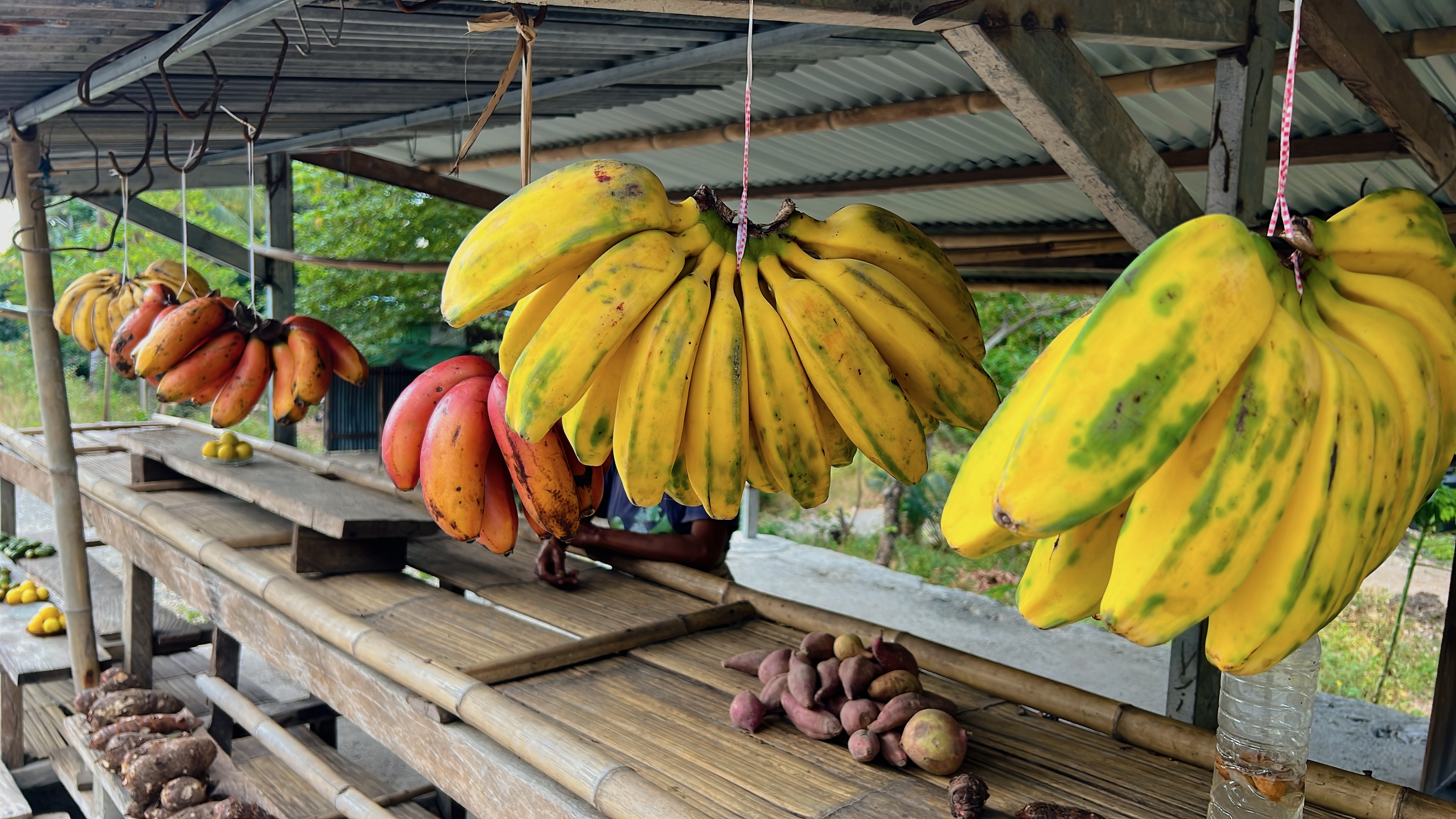 Red bananas are one of my favourite types of bananas. It is very sweet and creamy, perfect for a smoothie.