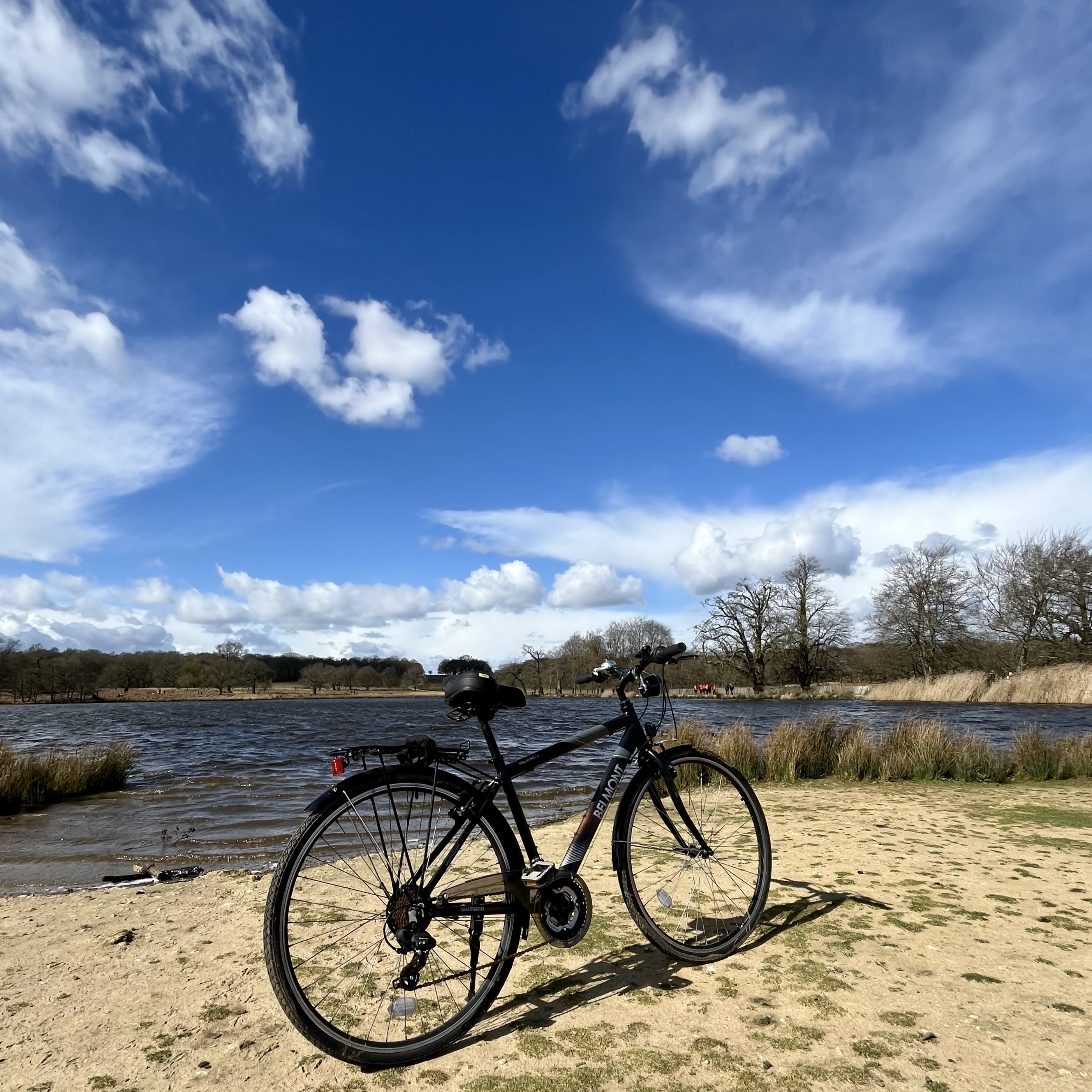 Cycling at Richmond Park on a Saturday