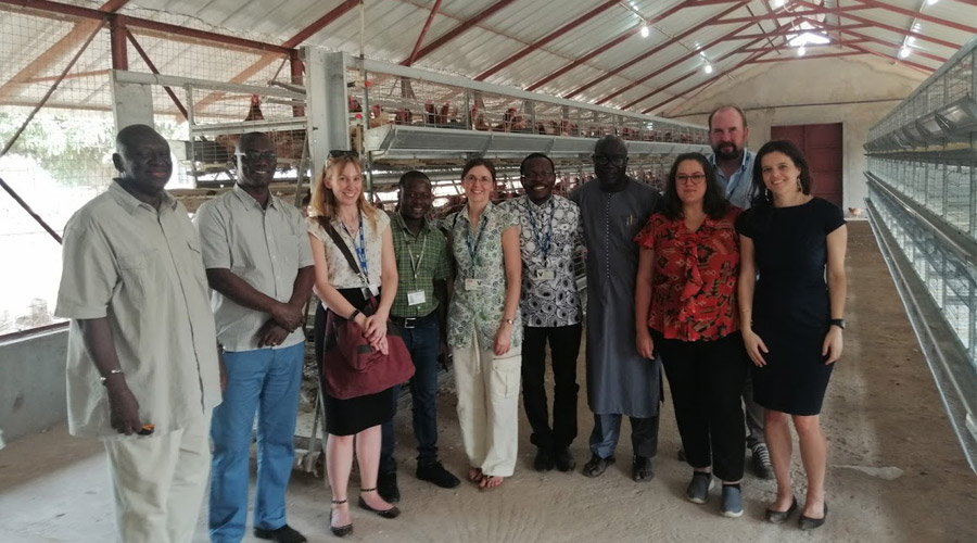The FACE-Africa team visiting a poultry farm in Greater Banjul (from left to right: Mr Sulayman M’boob, Dr Robert Zougmoré, Dr Rosemary Green, Mr Zakari Ali, Dr Sarah Dalzell, Dr Georges Djohy, Dr Momodou Darboe, Ms Amanda Palazzo, Dr Petr Havlik, and Dr Pauline Scheelbeek)