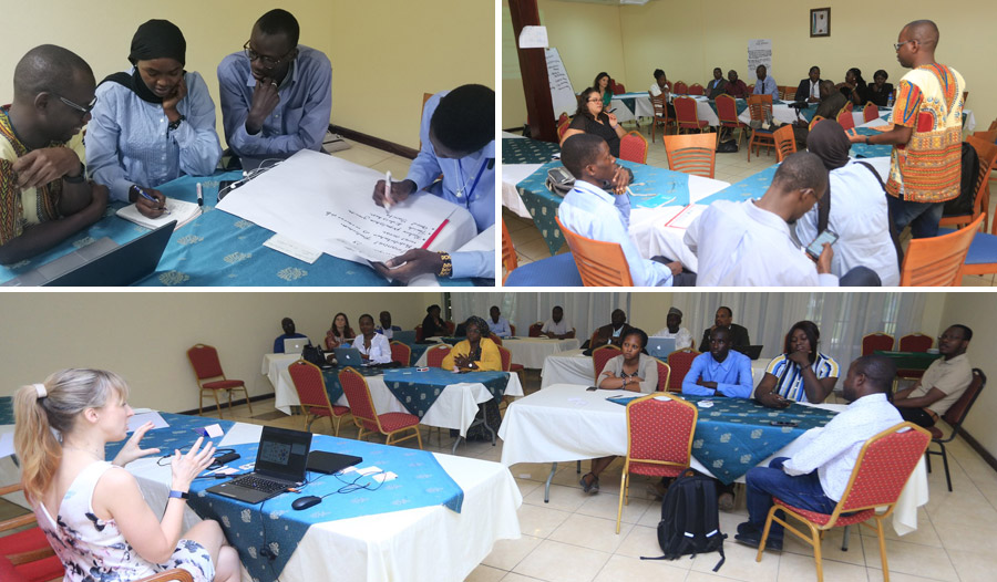 Participants of the learning labs working in small groups on climate change scenarios