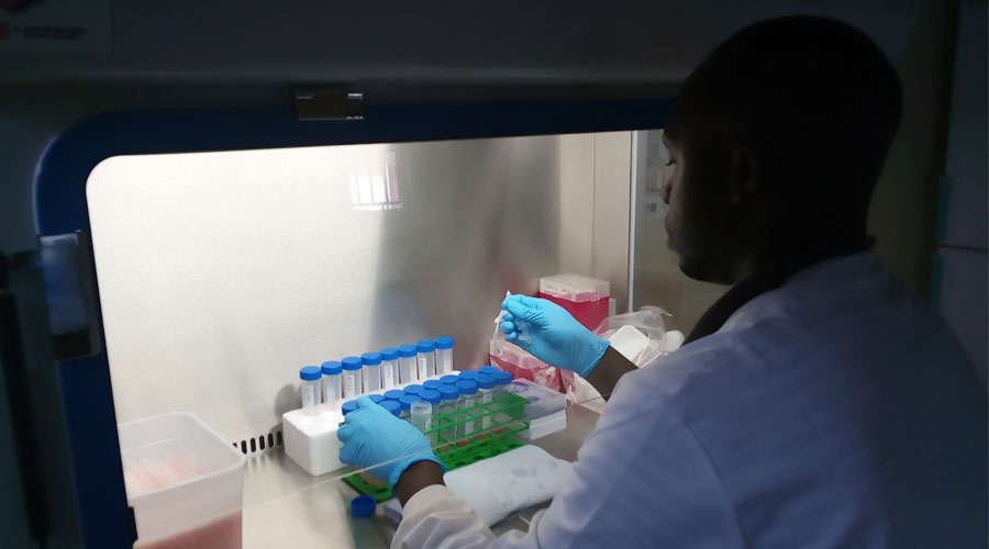 Schistosomiasis vaccines in a lab