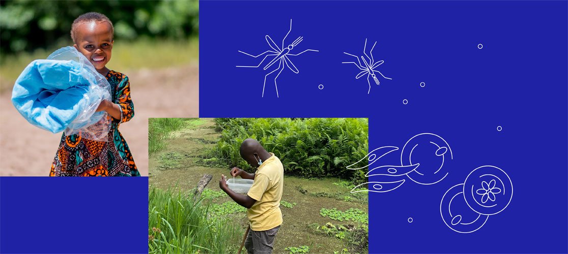 UK to Grow Malaria-fighting Plants