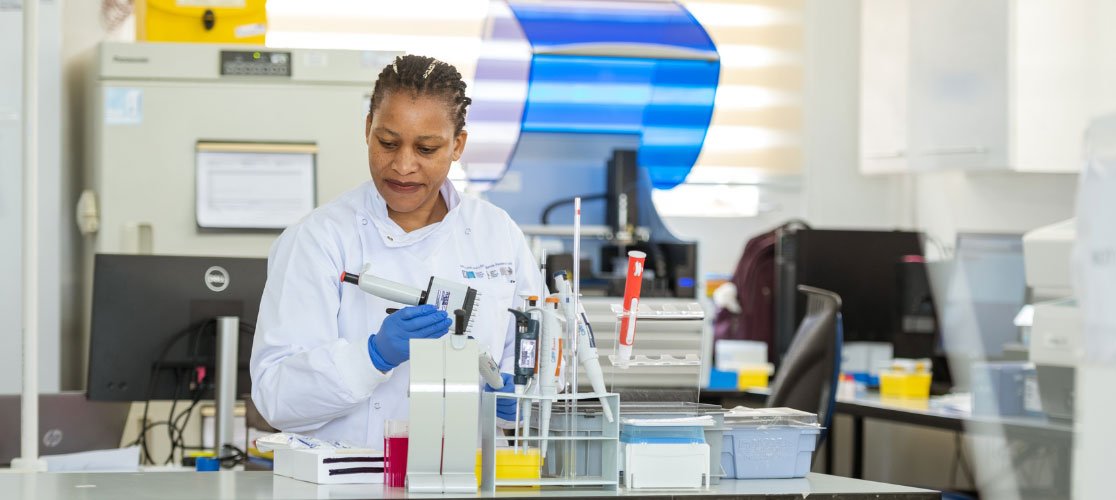 A scientist processing samples in the laboratory