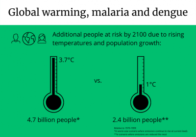 Global warming, malaria and dengue infographic