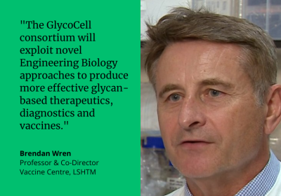 “The GlycoCell consortium will exploit novel Engineering Biology approaches to produce more effective glycan-based therapeutics, diagnostics and vaccines.” Brendan Wren, Professor &amp; Co-Director, Vaccine Centre, LSHTM