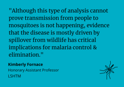 Kimberly Fornace said: &quot;Although this type of analysis cannot prove transmission from people to mosquitoes is not happening, evidence that the disease is mostly driven by spillover from wildlife has critical implications for malaria control &amp; elimination.&quot;