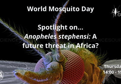 World Mosquito Day 2020 webinar event graphic