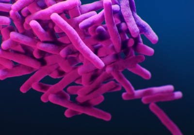 Photo credit: Canva - Medical illustration of drug-resistance bacteria, courtesy of the public health image library, CDC