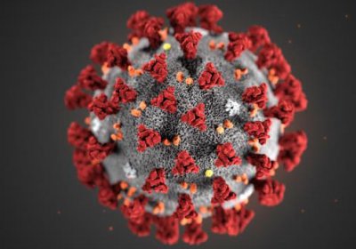 caption: illustration of coronavirus. Credit: CDC/Alissa Eckert