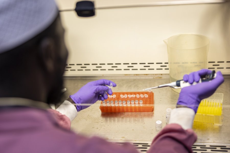 Scientist working in a Lab