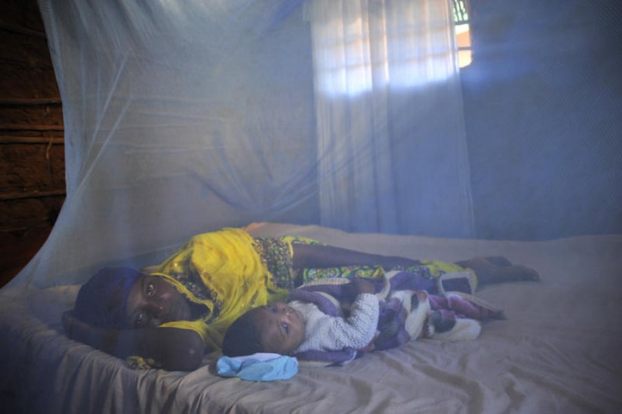 Novel mosquito net to combat insecticide resistance recommended by World  Health Organization