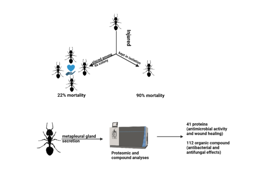 new &quot;Ant&quot;imicrobials