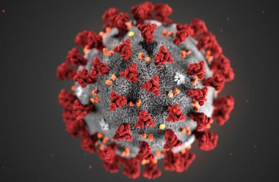 illustration of Wuhan coronavirus_credit CDC_Alissa Eckert