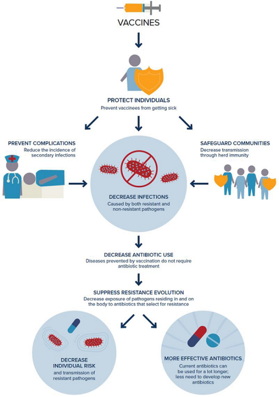 vaccine and mra