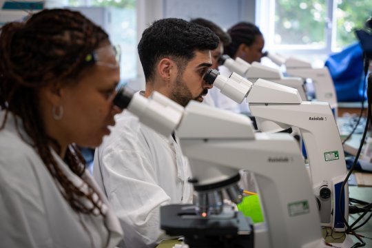 Male and female students in a lab looking into microscopes.