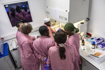 Researchers in MRCG performing lab techniques to study samples of the Mpox virus