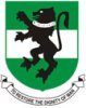 University of Nigeria Nsukka logo