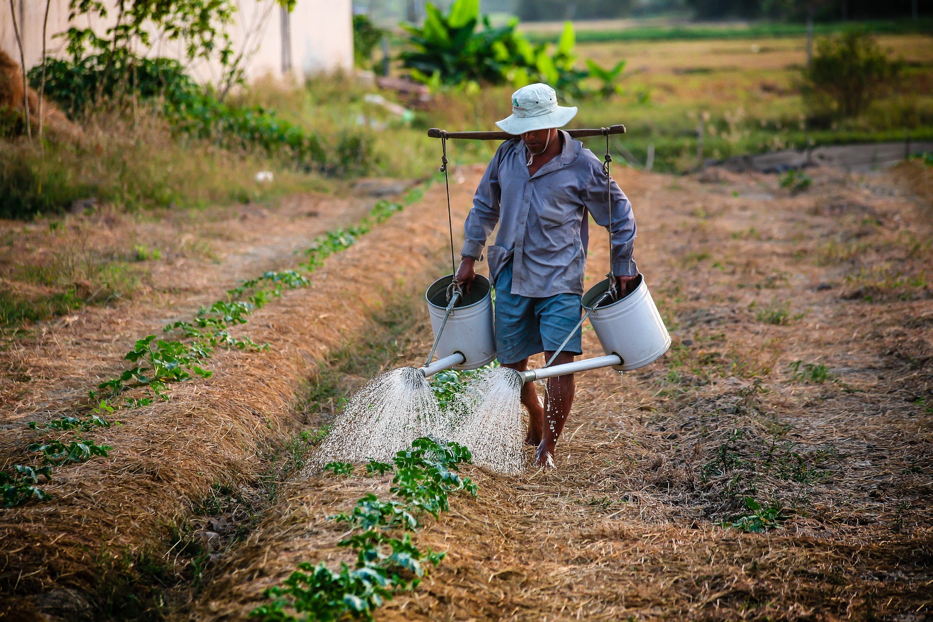 Man with watering can. Source: Pixabay