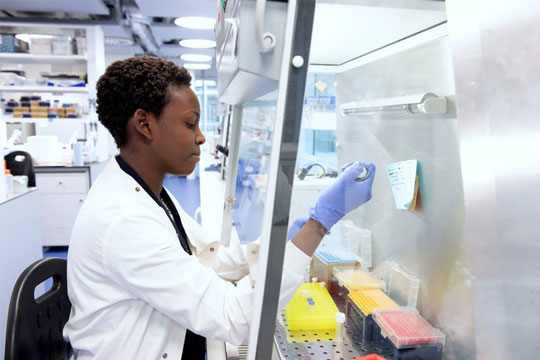 A female student working in the LSHTM malaria lab